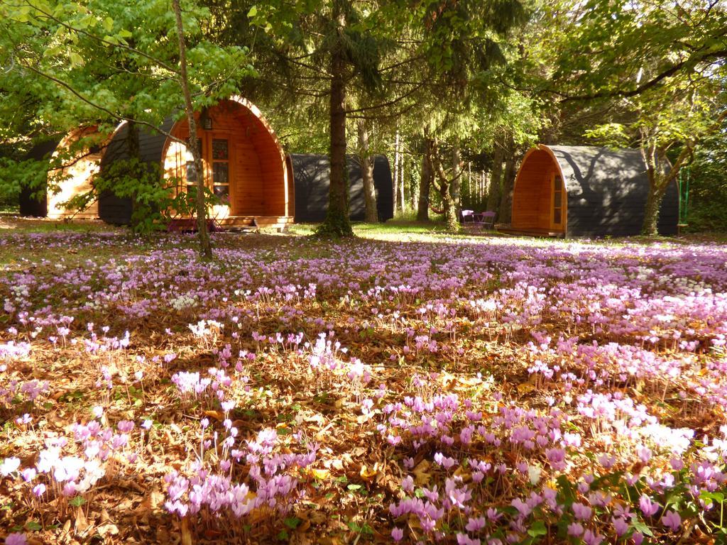 La Rossignolerie - Pod Cabanes Des Chateaux Шузи-сюр-Сис Экстерьер фото